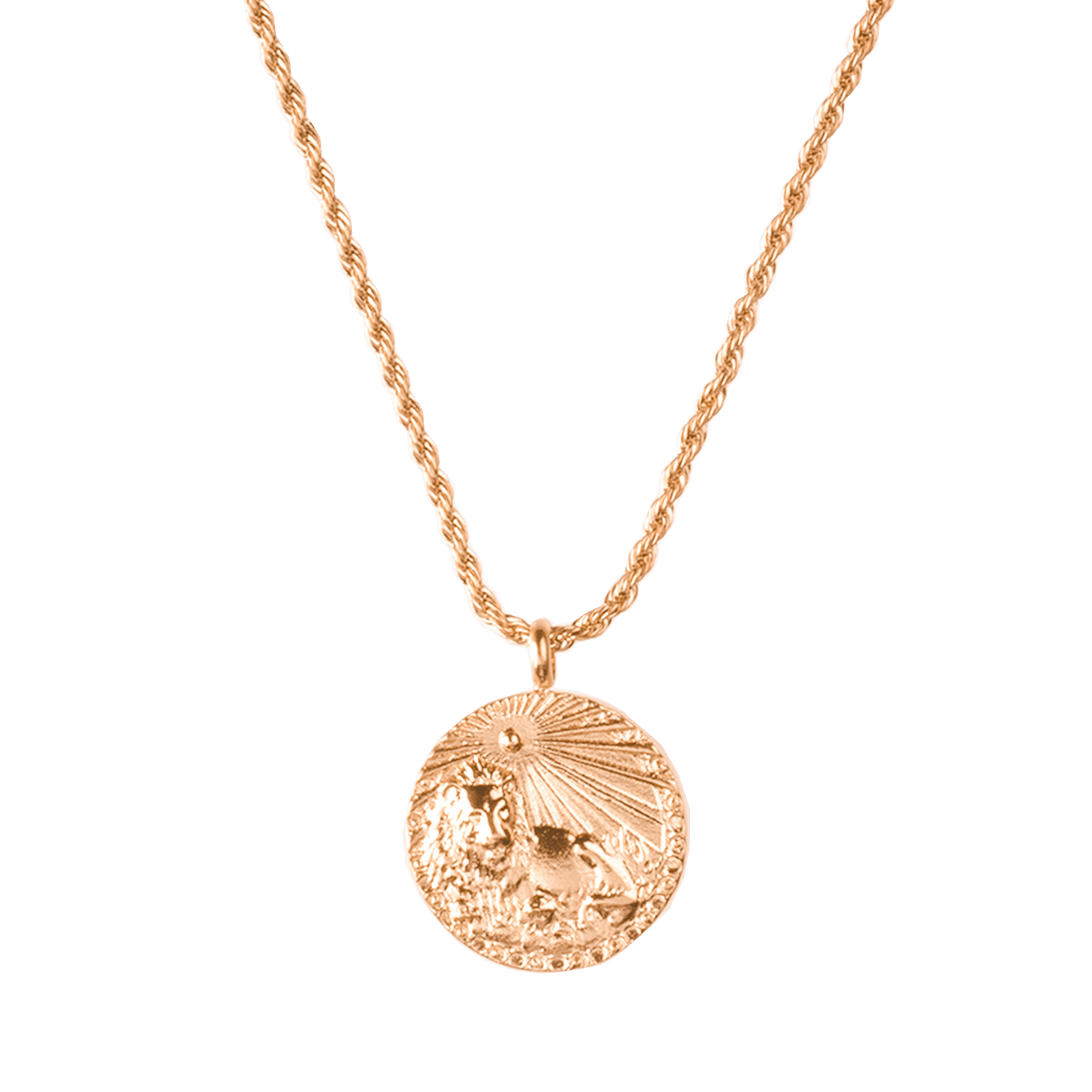 Zodiac Sign Necklace Roségold