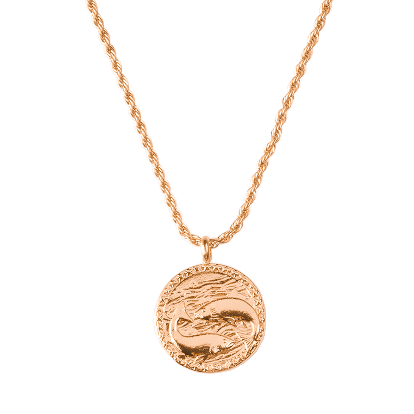 Zodiac Sign Necklace Roségold