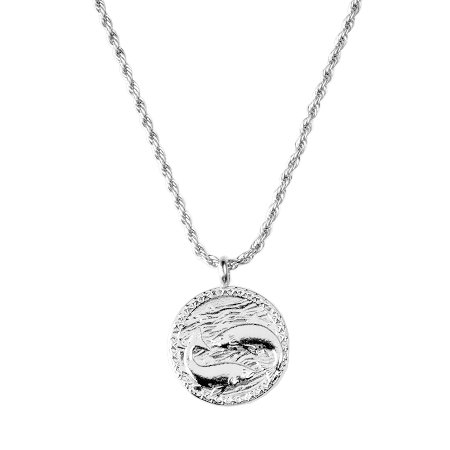 Zodiac Sign Necklace Silber