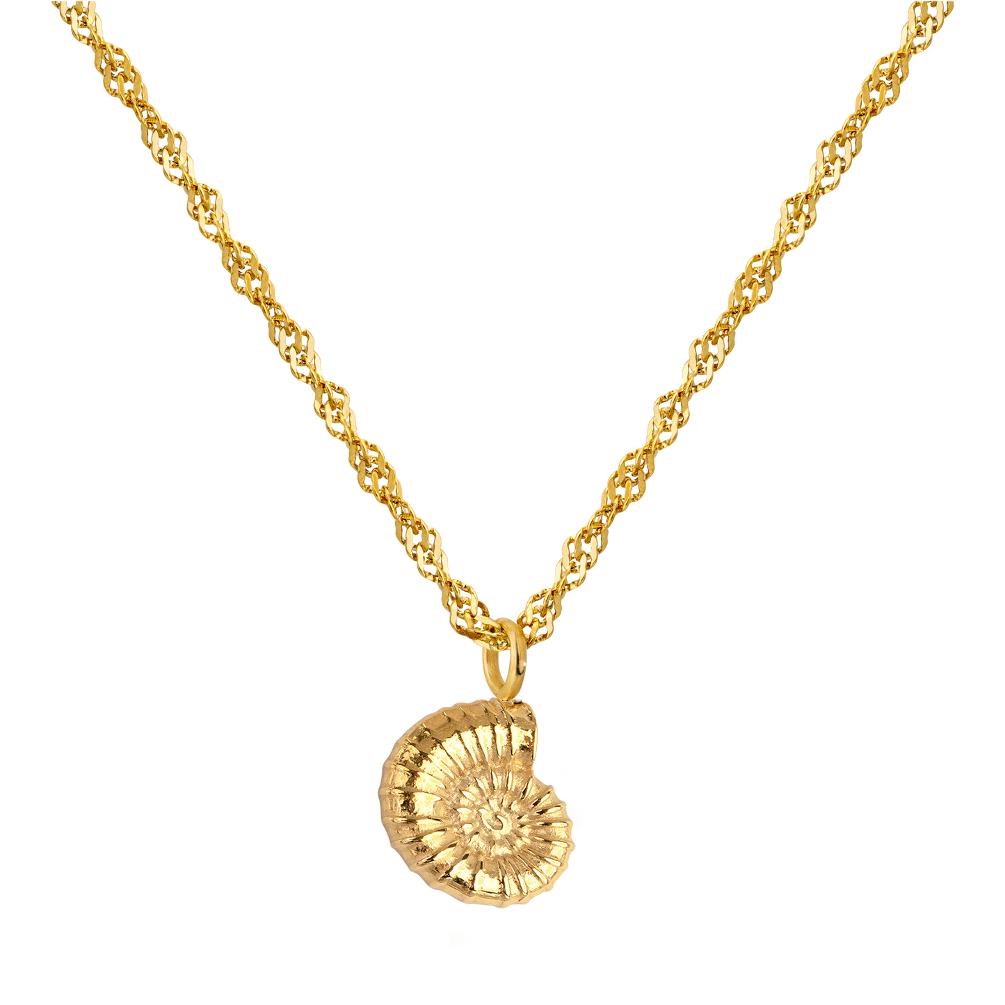 Shell Seeker Necklace Gold