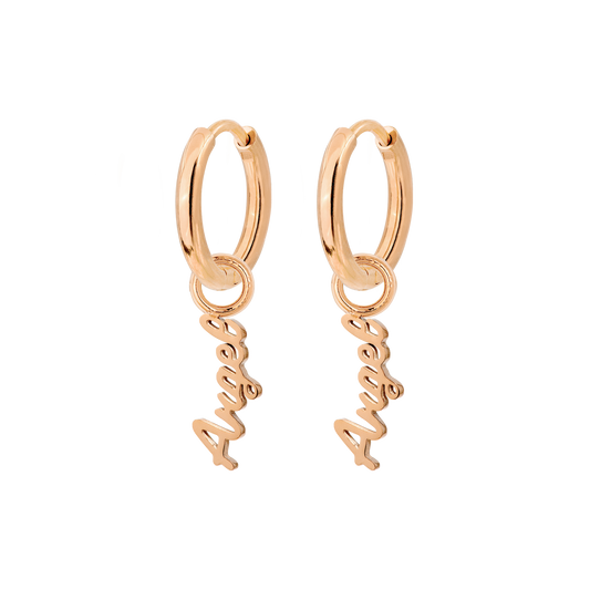 The Angel Hoop Set Small Roségold