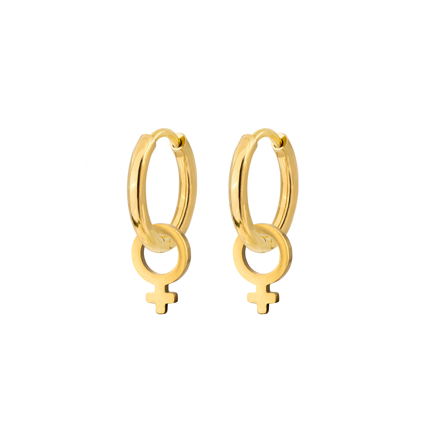 Female Icon Hoop Set Small Gold