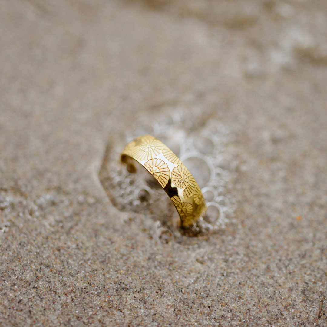 Ammonite Shell Ring Silber