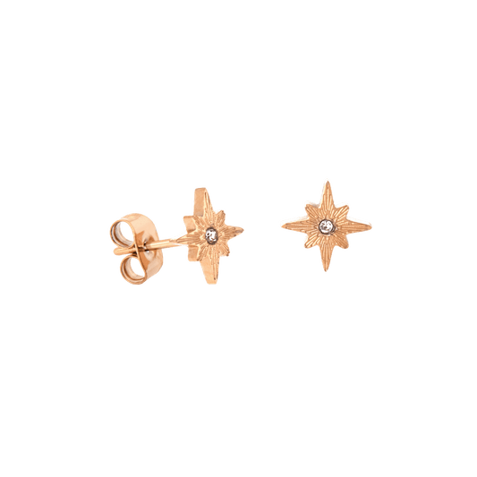 Shiny Anna Stud Earrings Roségold