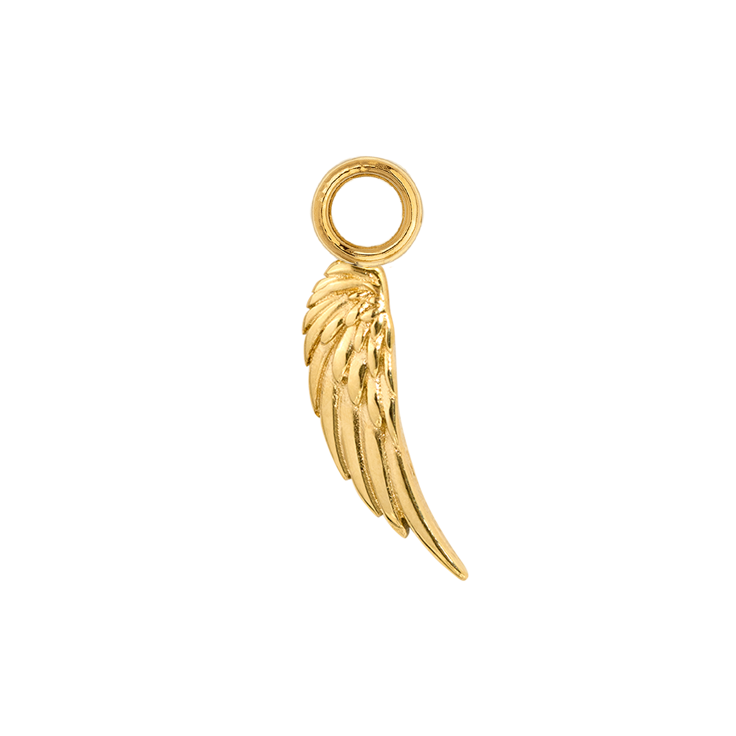 Angel Wing Slim Hoop Set Gold