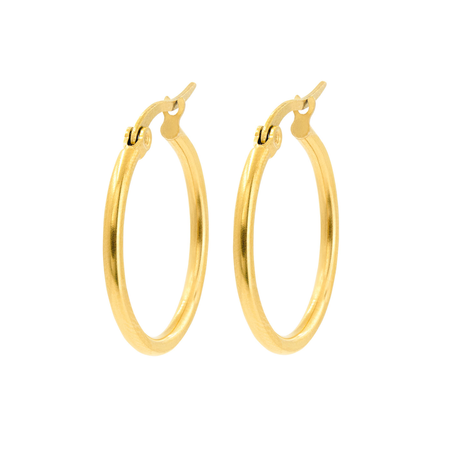 Sierra Hoops Large
