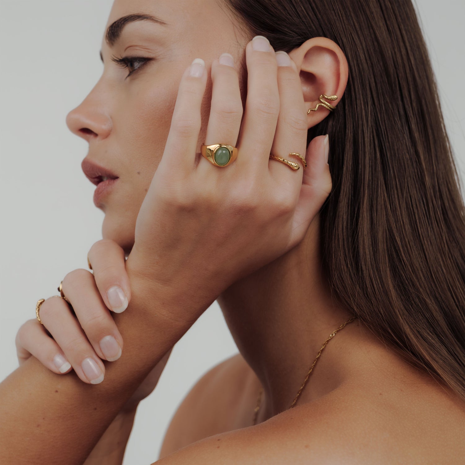 Into the Wild Collection