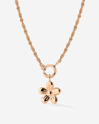 [[Farbe:Roségold]]