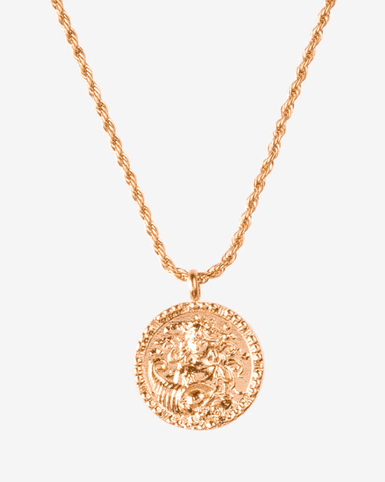 Zodiac Sign Necklace Roségold