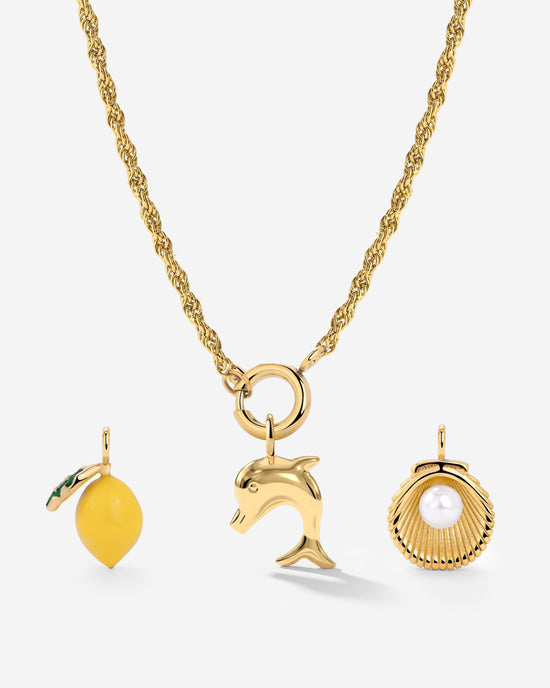 Rope Chain Charm Necklace Set
