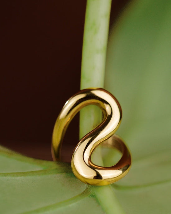 Coiled Ring Roségold