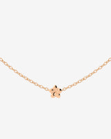 Floral Glow Choker Roségold