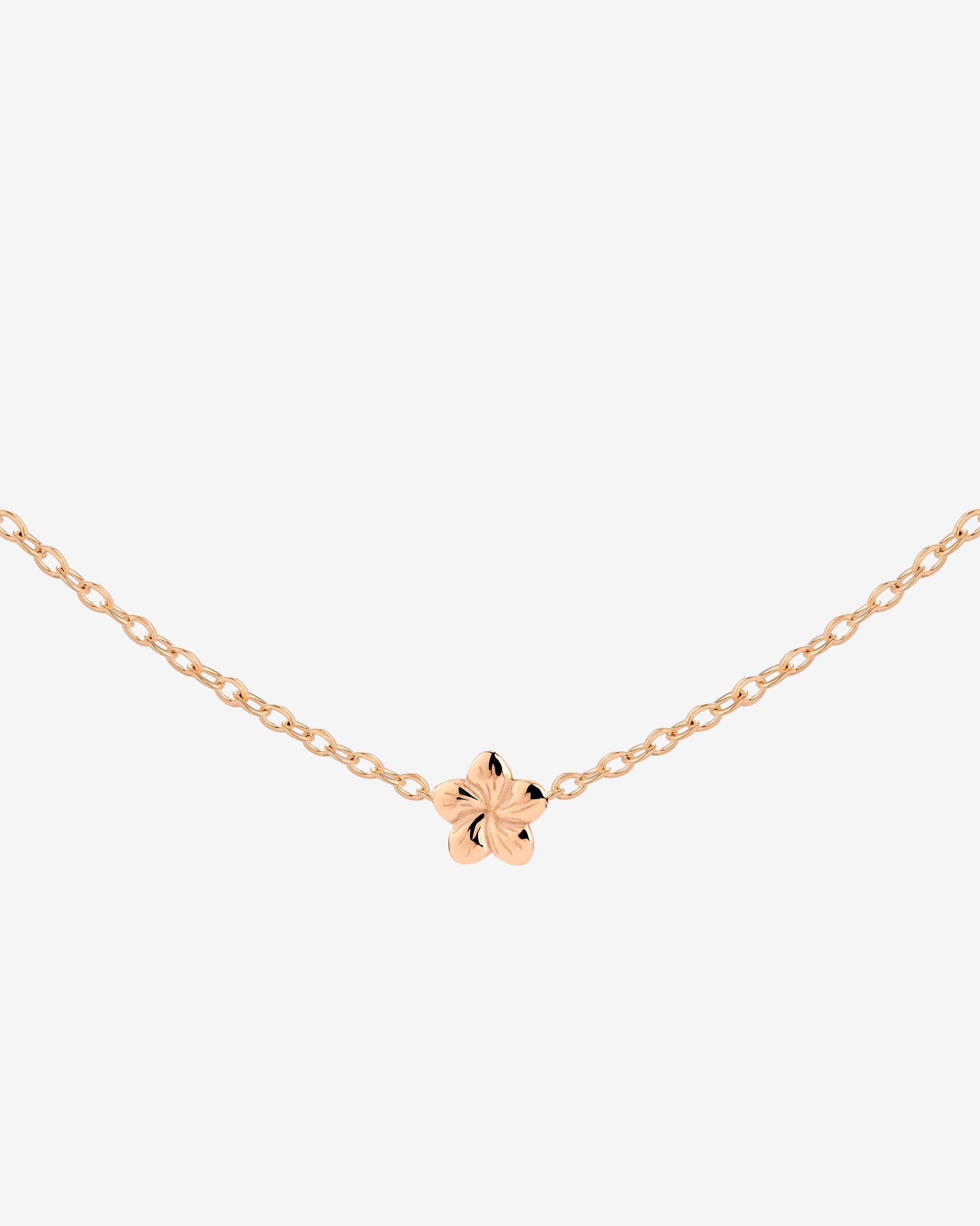 Floral Glow Choker Roségold