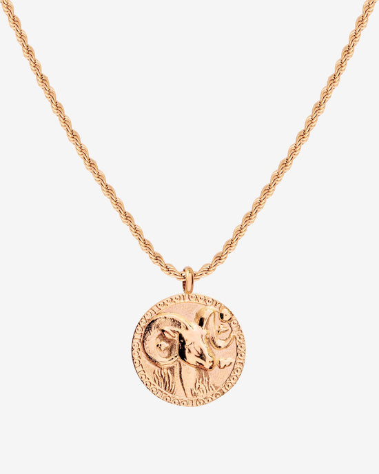 Zodiac Sign Necklace Roségold