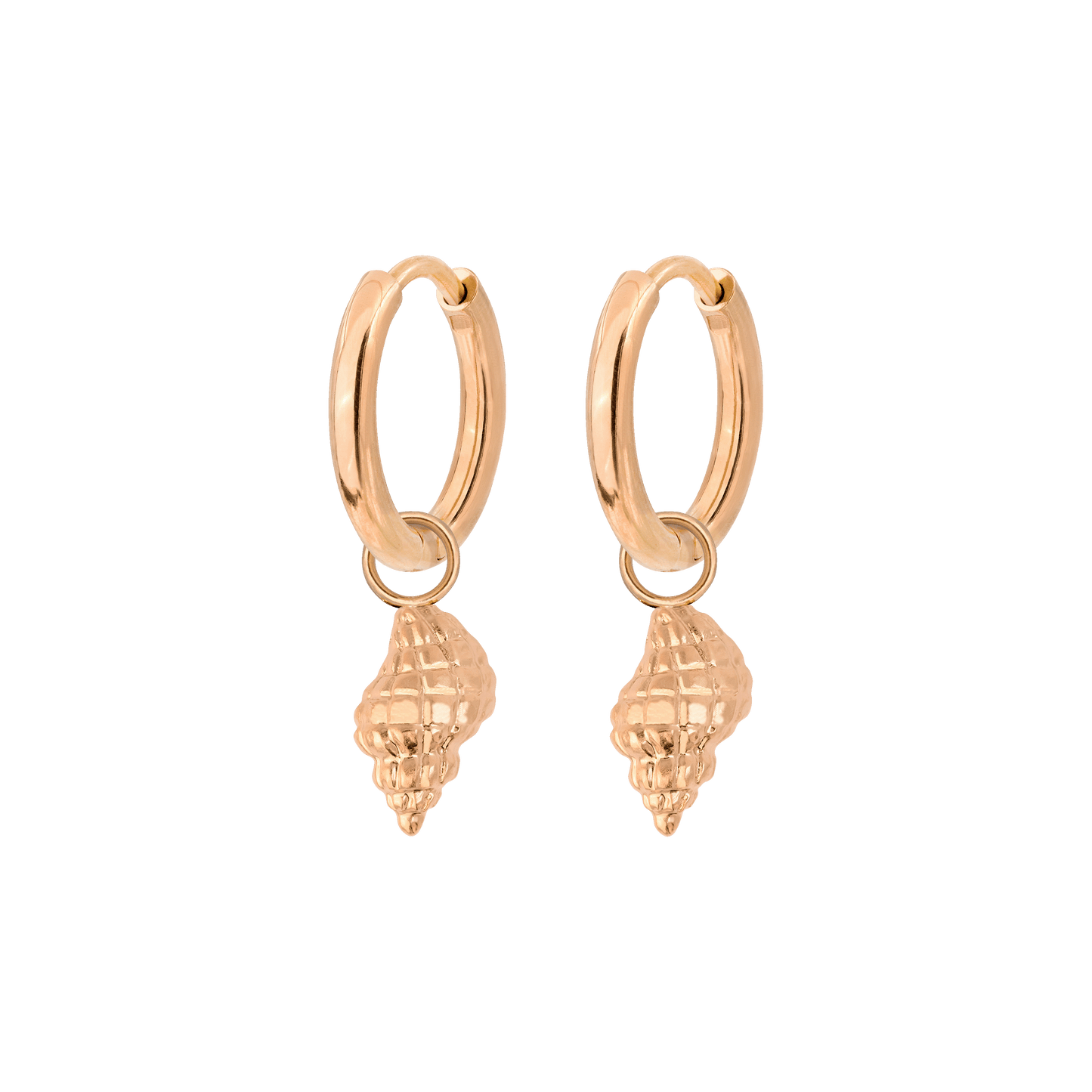 Conch Shell Hoop Set Roségold