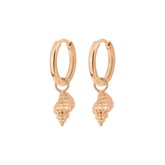 Conch Shell Hoop Set Roségold