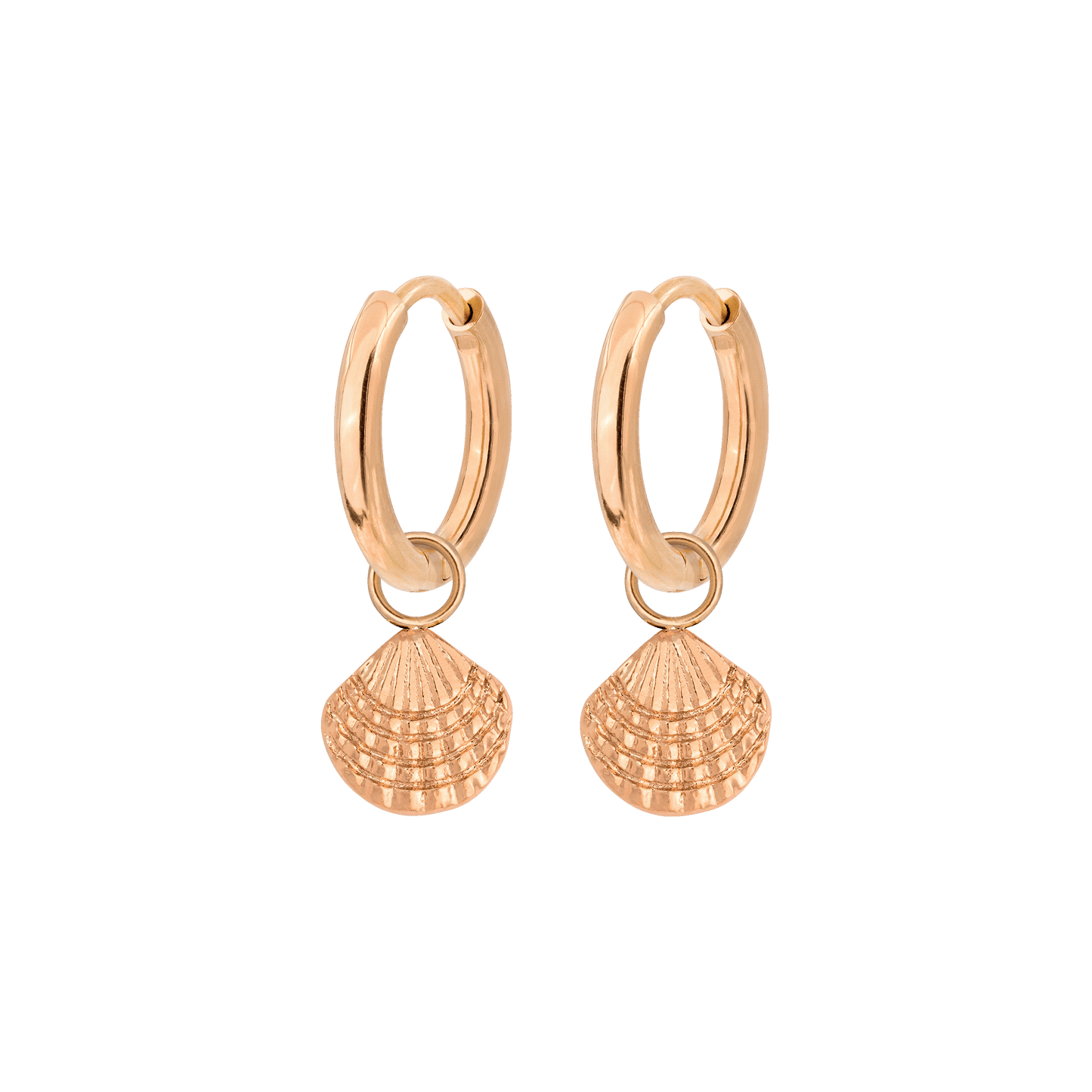 Cute Shell Hoop Set Roségold