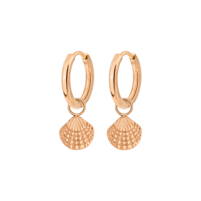 Cute Shell Hoop Set Roségold