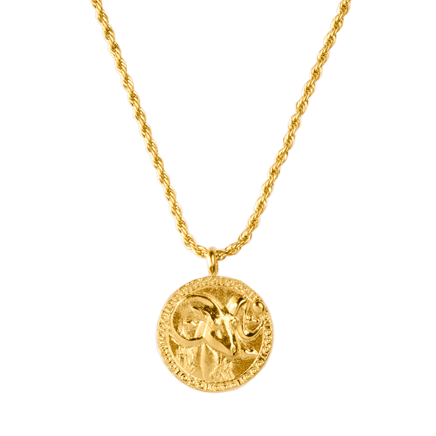 Zodiac Sign Necklace Gold