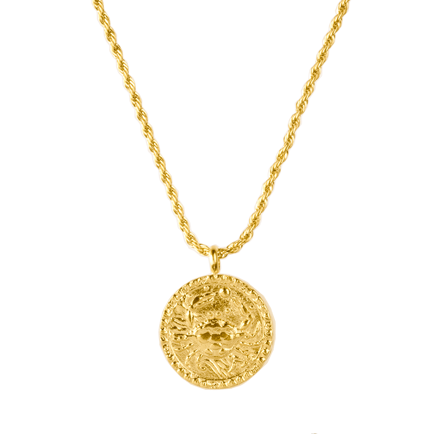Zodiac Sign Necklace Gold