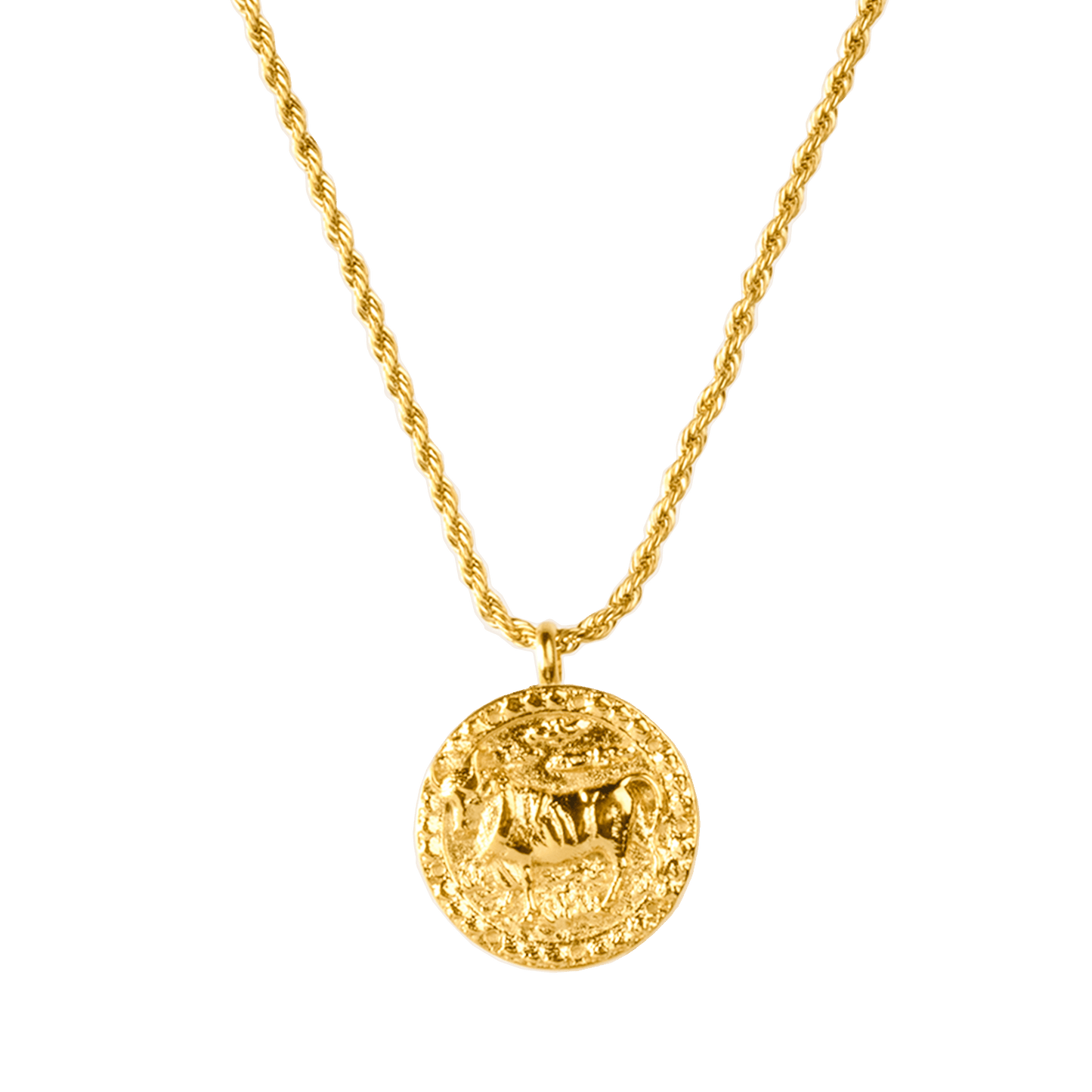 Zodiac Sign Necklace Gold