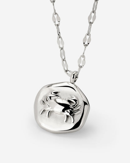 Crab Chaser Necklace Silber