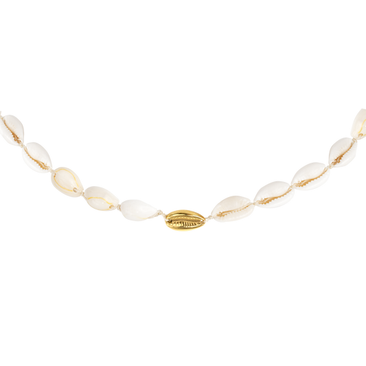 One in a Shell Choker Gold