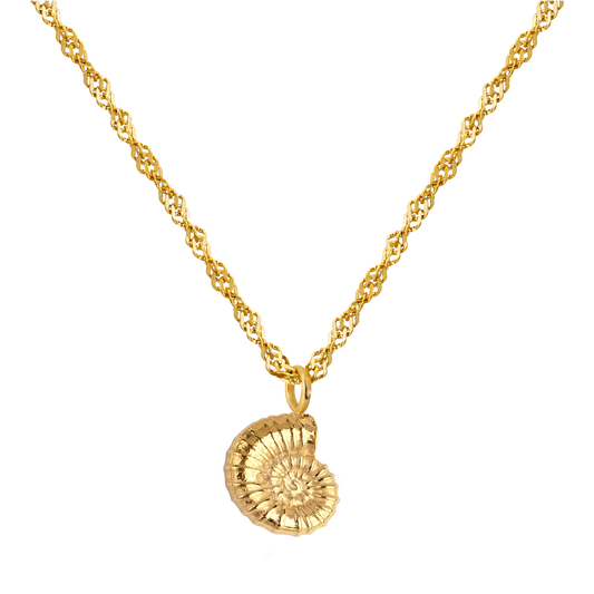 Shell Seeker Necklace Gold