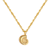 Shell Seeker Necklace Gold