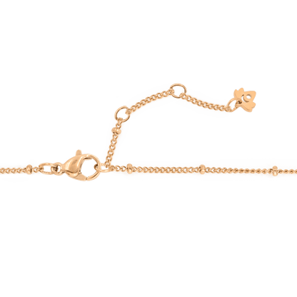 Shell Seeker Necklace Roségold