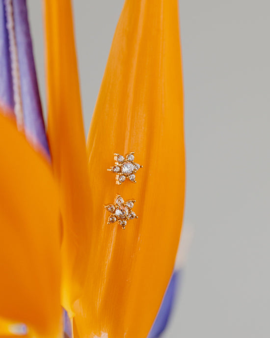 Sparkling White Petal Studs Gold