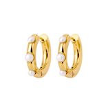 Timeless Chic Hoopies Gold