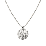 Zodiac Sign Necklace Silber