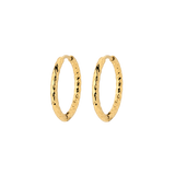 Prism Hoops Medium Gold