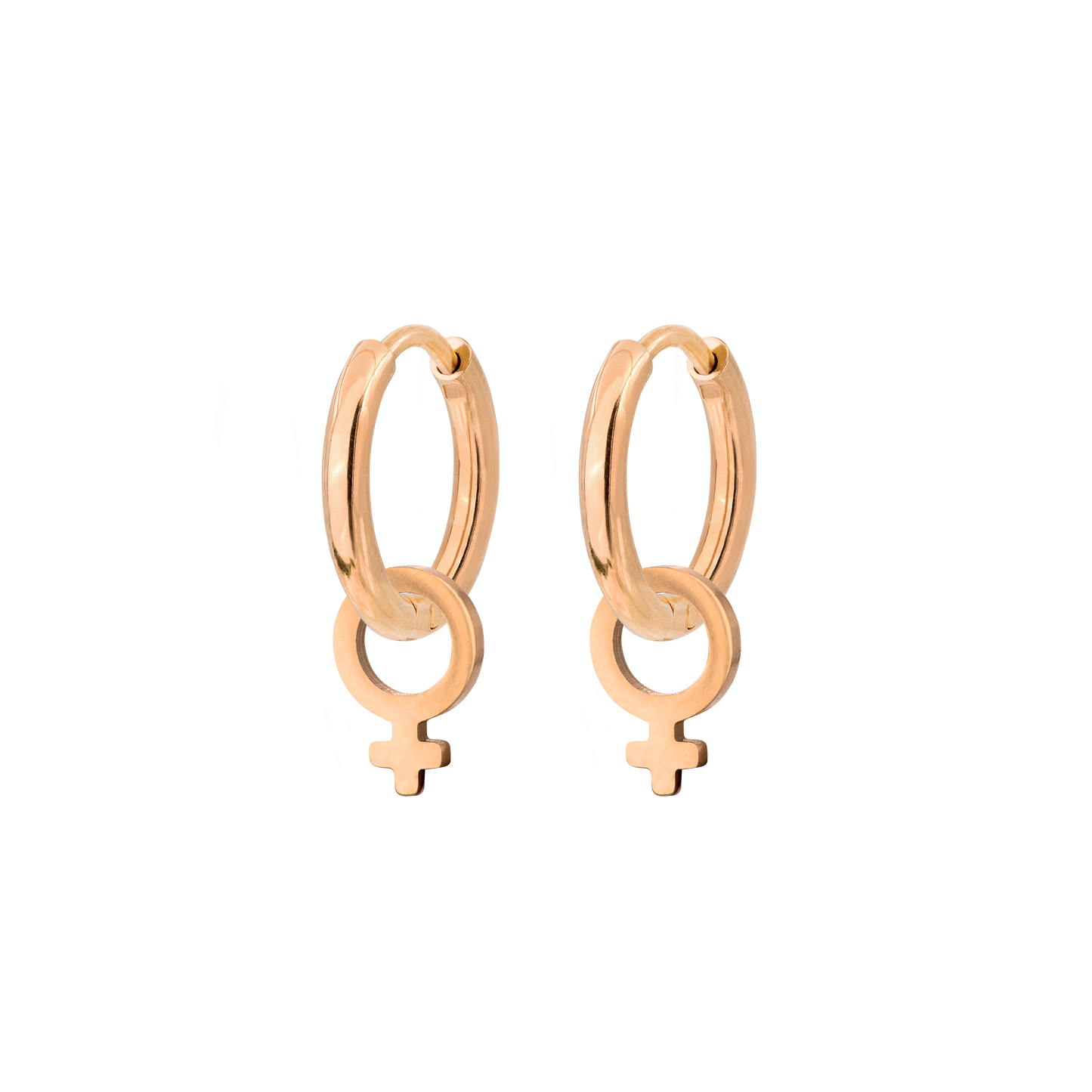 Female Icon Hoop Set Small Roségold