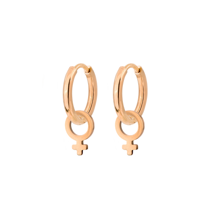Female Icon Hoop Set Small Roségold