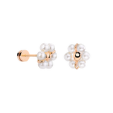 Daisy Studs Roségold