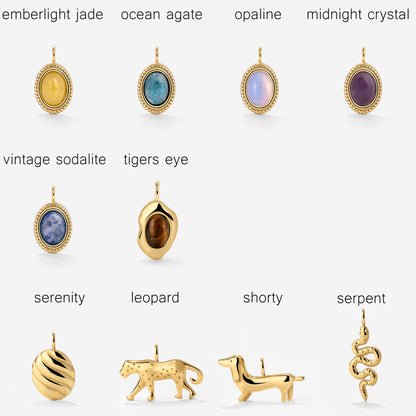 Classic Chain Charm Necklace Set