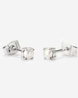Dream Pearl Studs Silber