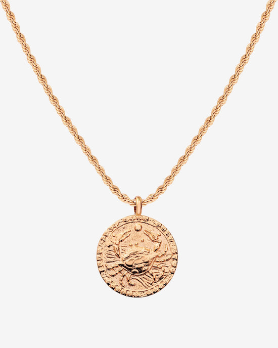 Zodiac Sign Necklace Roségold