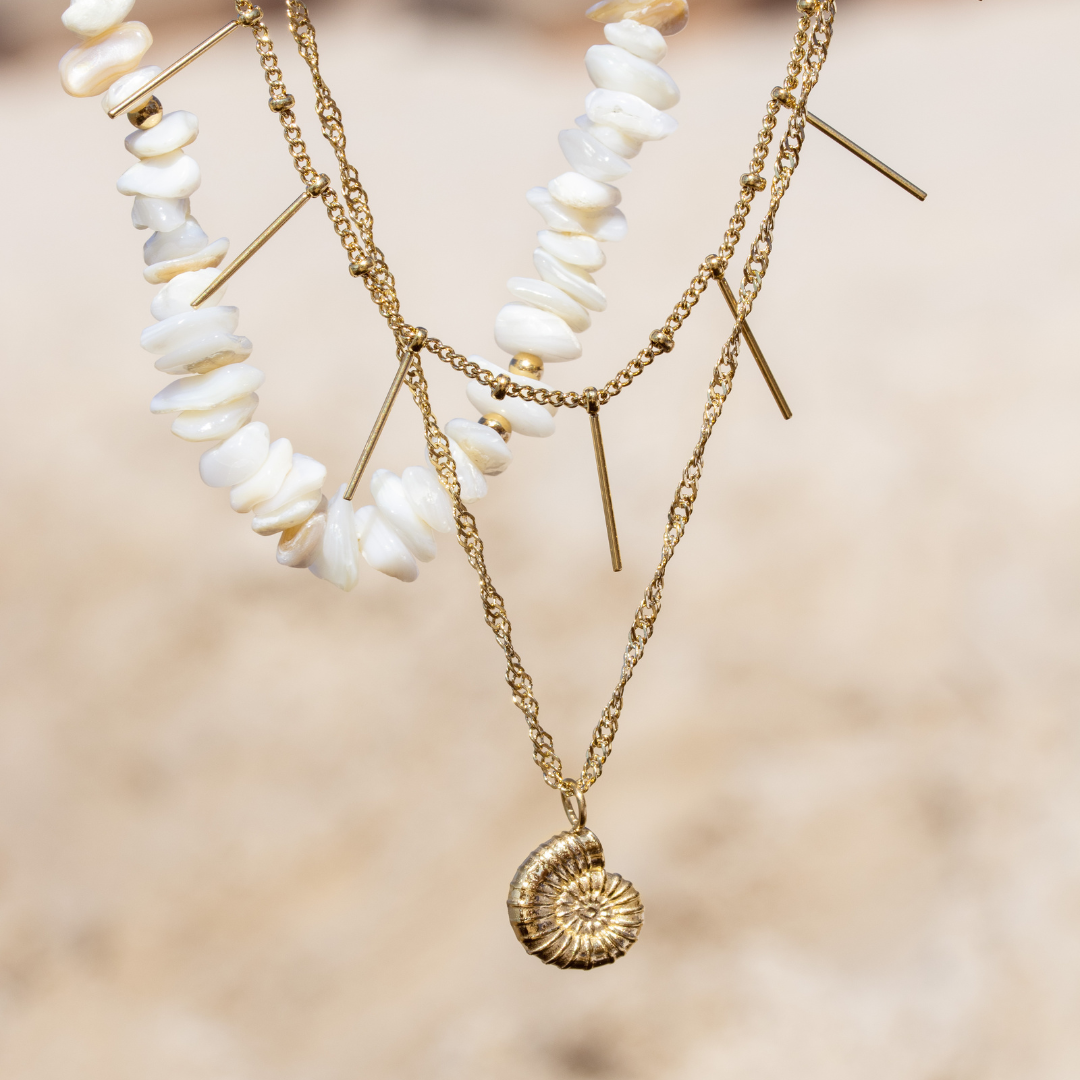 Shell Seeker Necklace Roségold