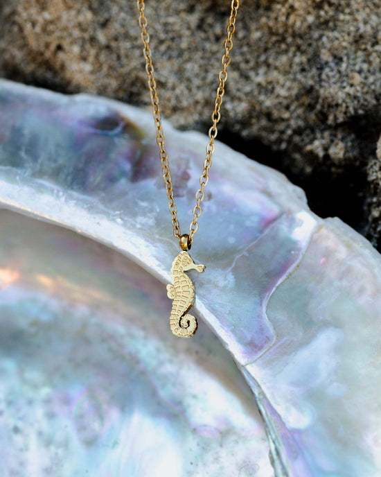 Seahorse Necklace