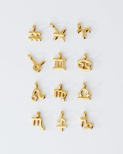 Bubble Zodiac Necklace Charms
