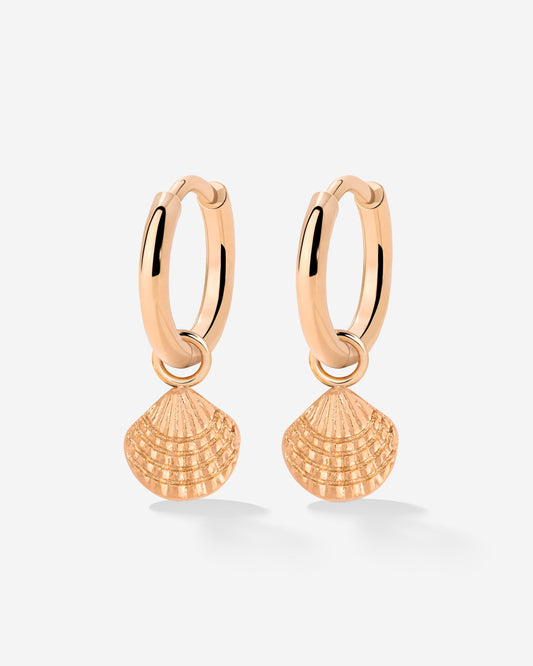 Cute Shell Hoop Set Roségold