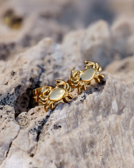Crab Chaser Studs Gold