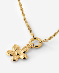 [[Farbe:Gold]]