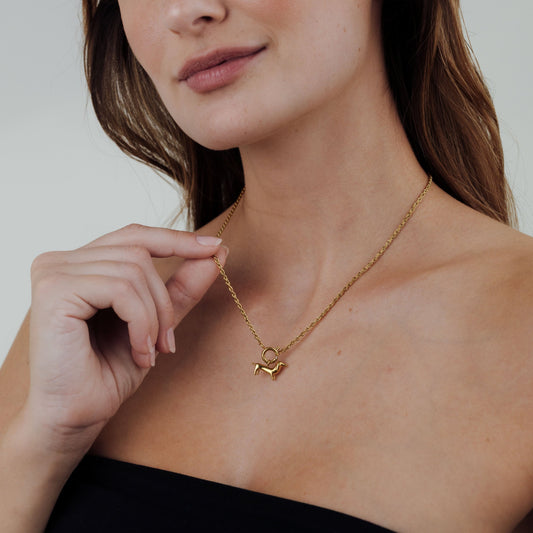 Shorty Rope Chain Necklace Set Gold