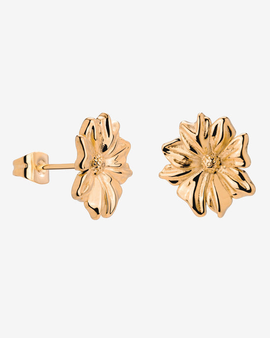 Pure Petal Studs Roségold