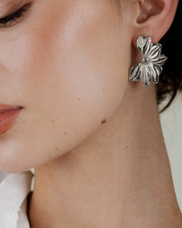[[Farbe:Silber,Tragebild]]