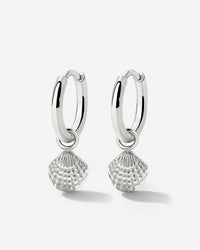 [[Farbe:Silber]]